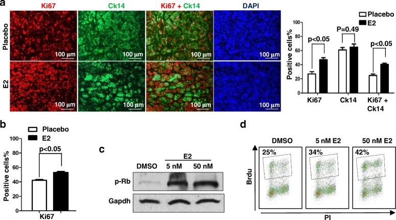 https://cdn.ncbi.nlm.nih.gov/pmc/blobs/425b/6042319/3a295332b917/13058_2018_996_Fig4_HTML.jpg