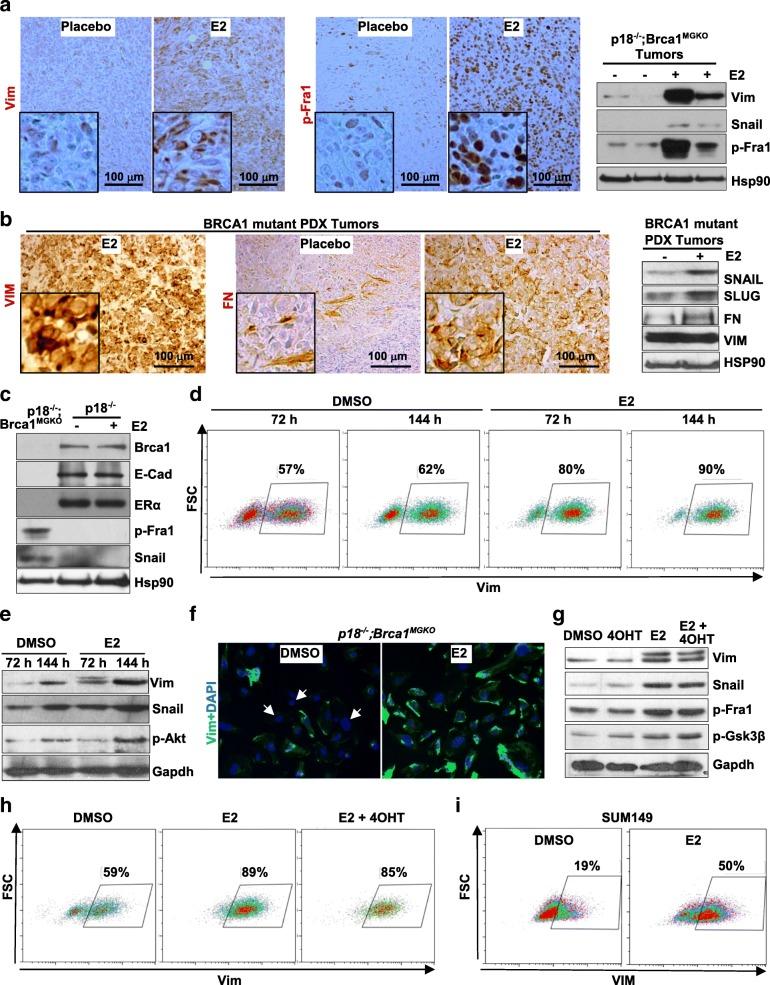https://cdn.ncbi.nlm.nih.gov/pmc/blobs/425b/6042319/574539d55bc9/13058_2018_996_Fig3_HTML.jpg