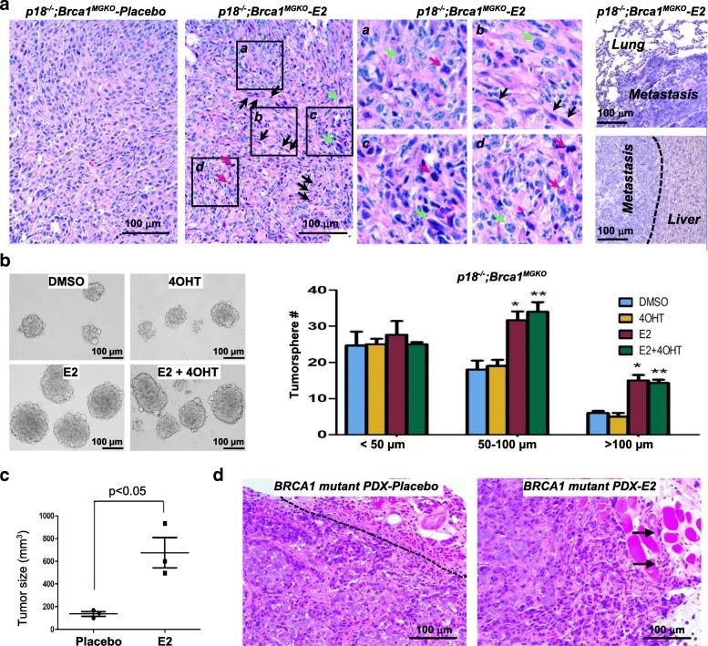 https://cdn.ncbi.nlm.nih.gov/pmc/blobs/425b/6042319/5d2355e775b4/13058_2018_996_Fig1_HTML.jpg