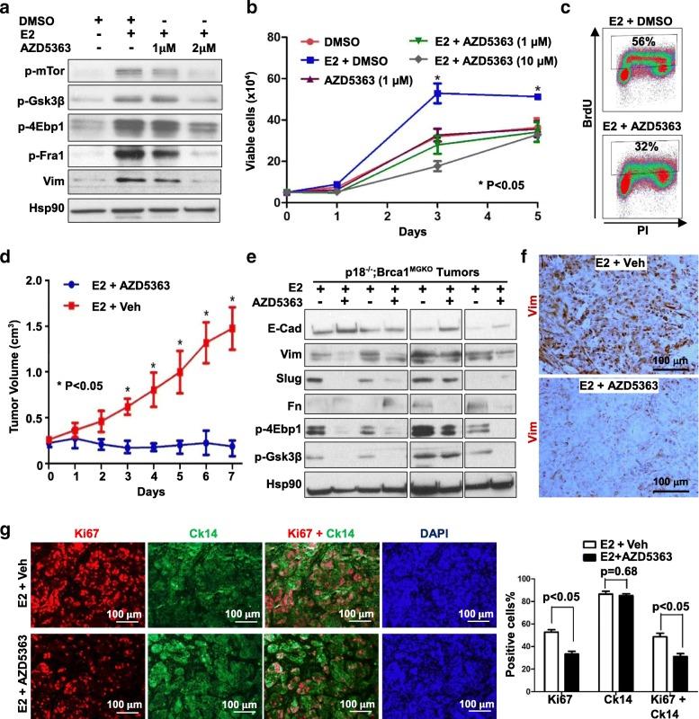 https://cdn.ncbi.nlm.nih.gov/pmc/blobs/425b/6042319/619872267163/13058_2018_996_Fig6_HTML.jpg