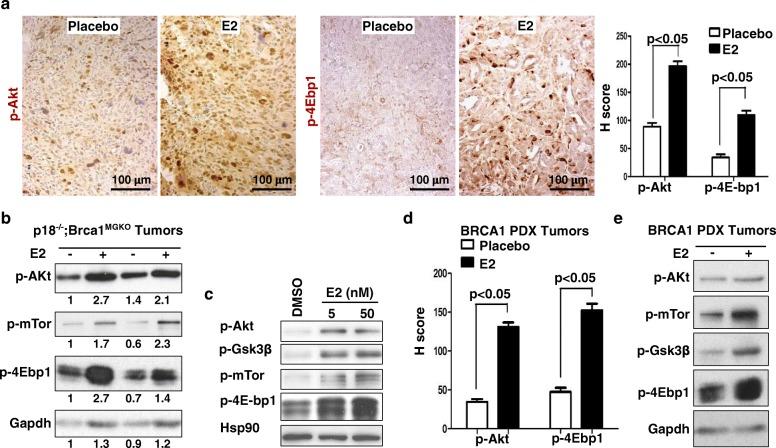 https://cdn.ncbi.nlm.nih.gov/pmc/blobs/425b/6042319/e363a9ded9af/13058_2018_996_Fig5_HTML.jpg