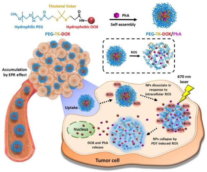https://cdn.ncbi.nlm.nih.gov/pmc/blobs/425c/9496990/825ce270e0fc/cancers-14-04462-sch002.jpg