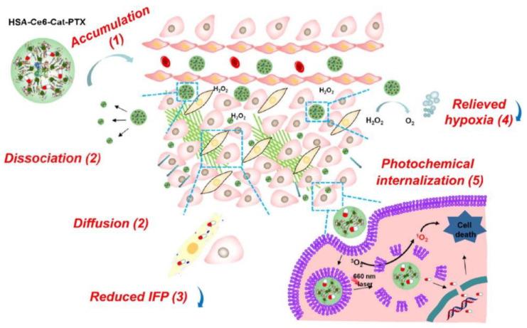 https://cdn.ncbi.nlm.nih.gov/pmc/blobs/425c/9496990/8bae24acc4a2/cancers-14-04462-sch003.jpg