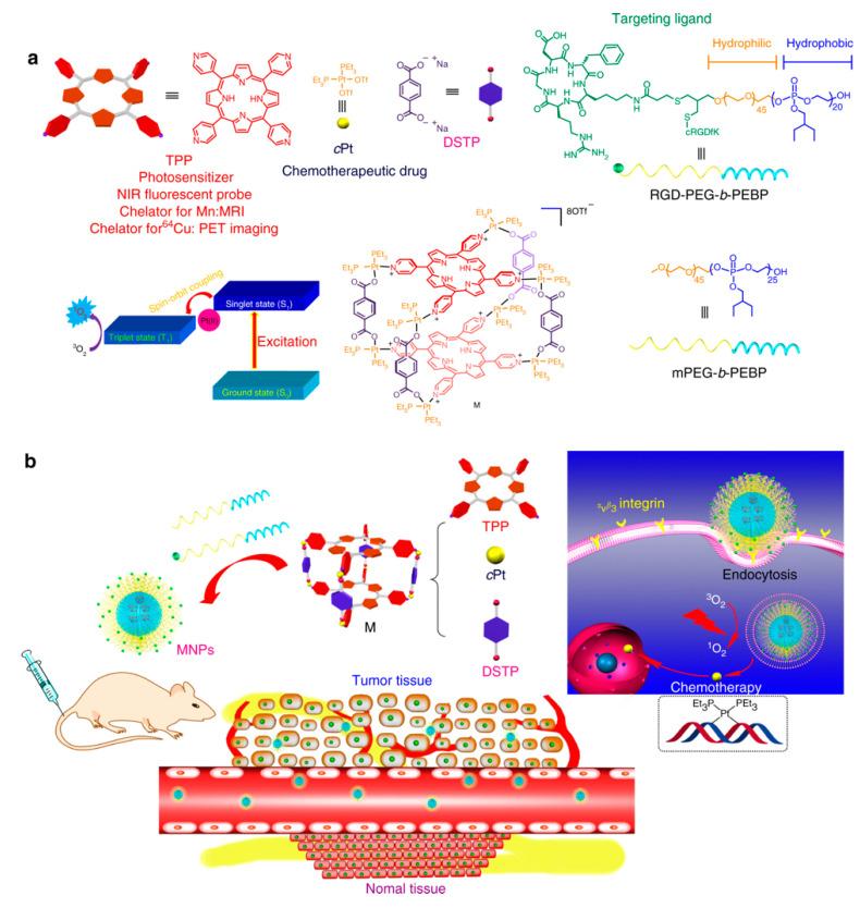 https://cdn.ncbi.nlm.nih.gov/pmc/blobs/425c/9496990/b25565e76094/cancers-14-04462-sch004.jpg