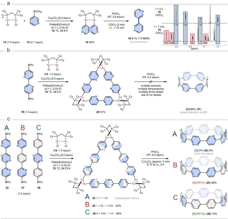 https://cdn.ncbi.nlm.nih.gov/pmc/blobs/425e/12149314/827b60f98305/41467_2025_59934_Fig3_HTML.jpg