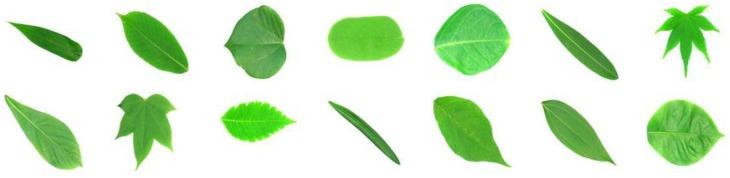 https://cdn.ncbi.nlm.nih.gov/pmc/blobs/425e/7148474/5f2edc76341d/biomimetics-05-00008-g002.jpg