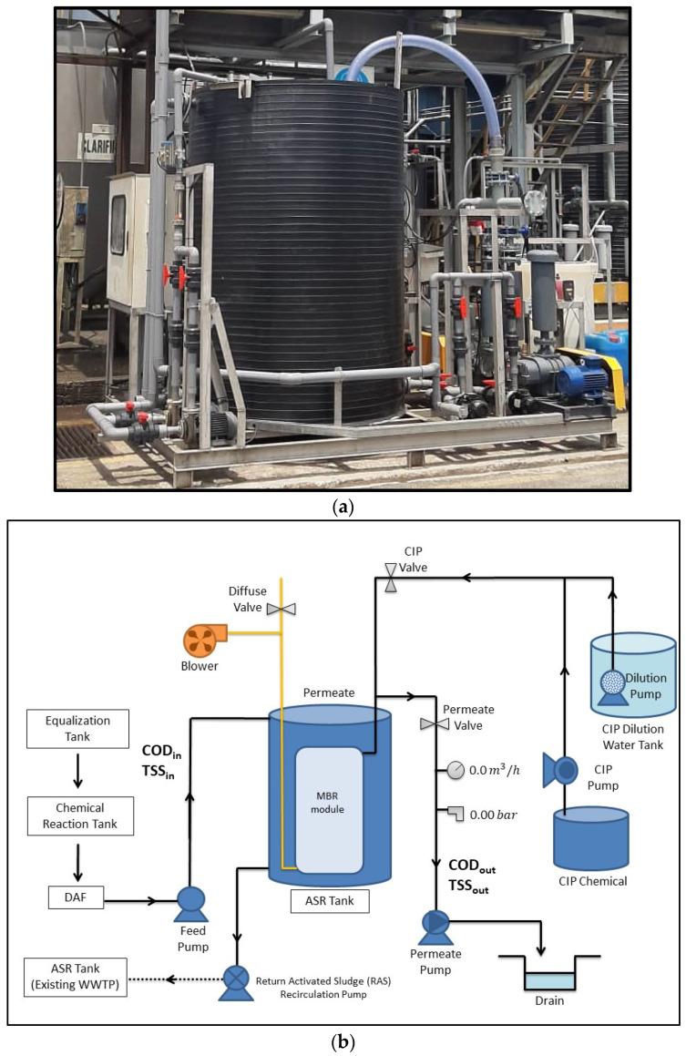 https://cdn.ncbi.nlm.nih.gov/pmc/blobs/425e/8235490/56997992f7f4/membranes-11-00456-g001.jpg