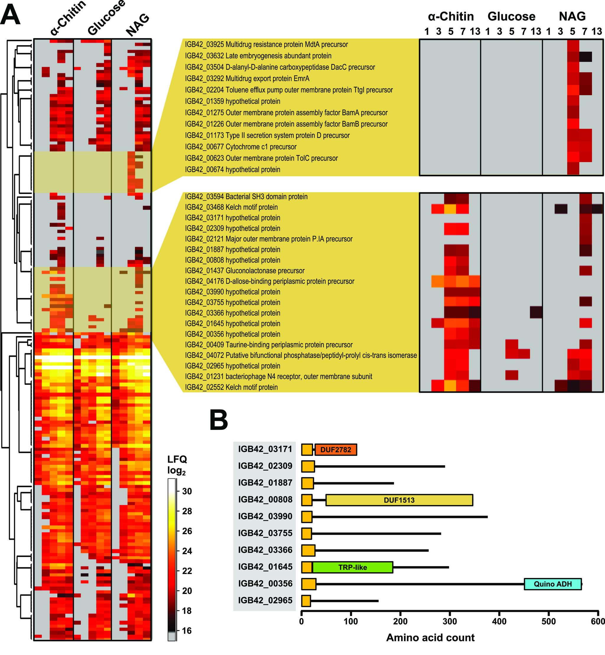 https://cdn.ncbi.nlm.nih.gov/pmc/blobs/425e/8802321/7cff0530e9d7/pr1c00358_0005.jpg
