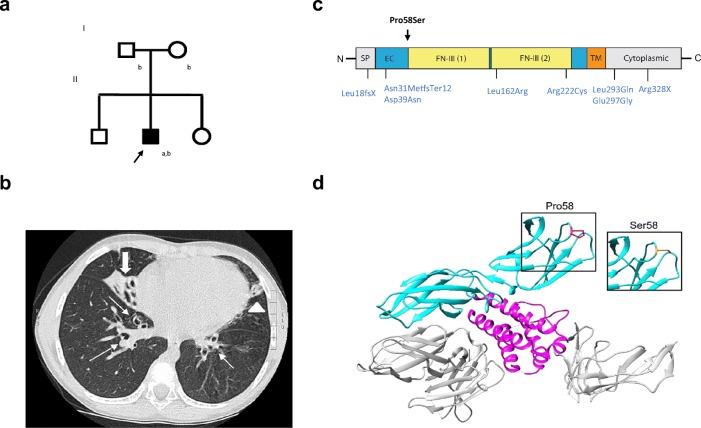 https://cdn.ncbi.nlm.nih.gov/pmc/blobs/425f/7142052/6f4af59ea821/10875_2020_745_Fig1_HTML.jpg