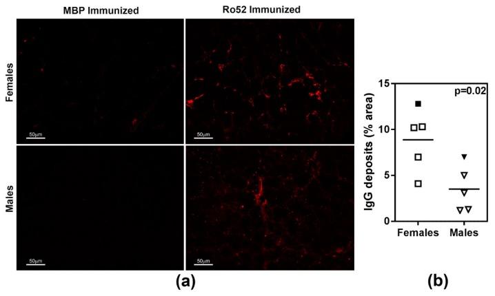https://cdn.ncbi.nlm.nih.gov/pmc/blobs/4260/6213551/ce33a2157e48/ijms-19-02935-g004.jpg