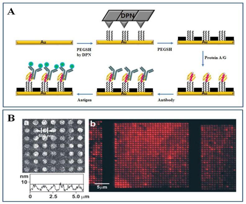 https://cdn.ncbi.nlm.nih.gov/pmc/blobs/4262/3707470/f3b076f2f2ac/sensors-08-06605f10.jpg