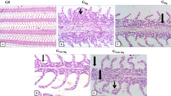 https://cdn.ncbi.nlm.nih.gov/pmc/blobs/4263/10859351/712b455353b4/12011_2023_3771_Fig5_HTML.jpg