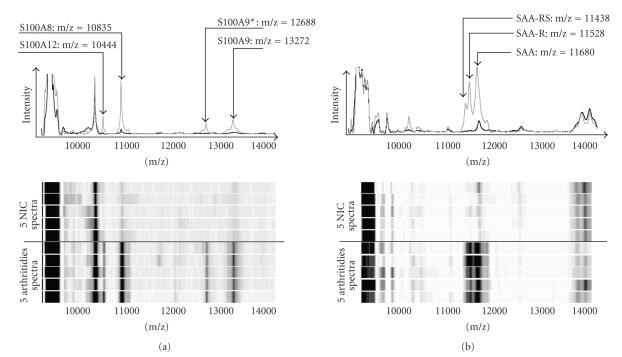https://cdn.ncbi.nlm.nih.gov/pmc/blobs/4263/2793423/f3675bfda35c/JBB2010-906082.003.jpg