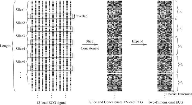 https://cdn.ncbi.nlm.nih.gov/pmc/blobs/4263/9411603/ad8584591554/41598_2022_18664_Fig1_HTML.jpg
