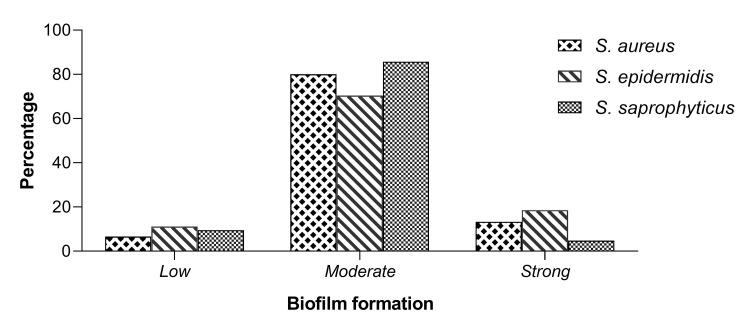 https://cdn.ncbi.nlm.nih.gov/pmc/blobs/4264/10199656/dba5bfb98cfa/cureus-0015-00000037877-i02.jpg