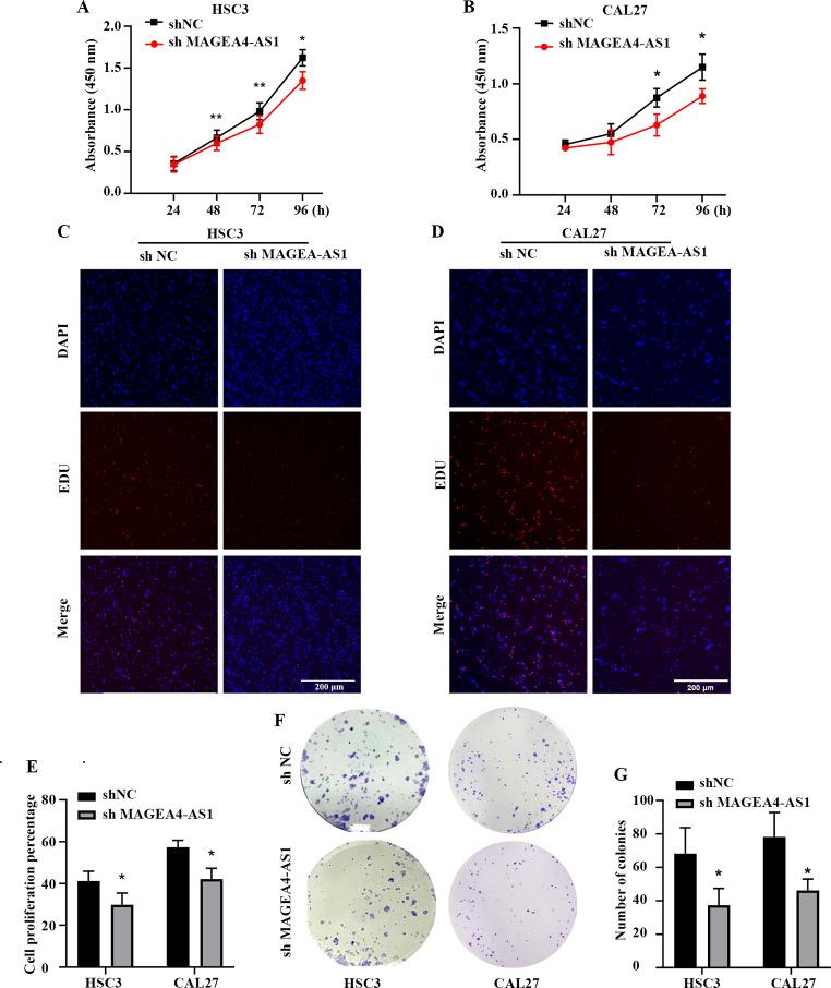 https://cdn.ncbi.nlm.nih.gov/pmc/blobs/4264/11384635/09872da17f4e/10142_2024_1436_Fig3_HTML.jpg