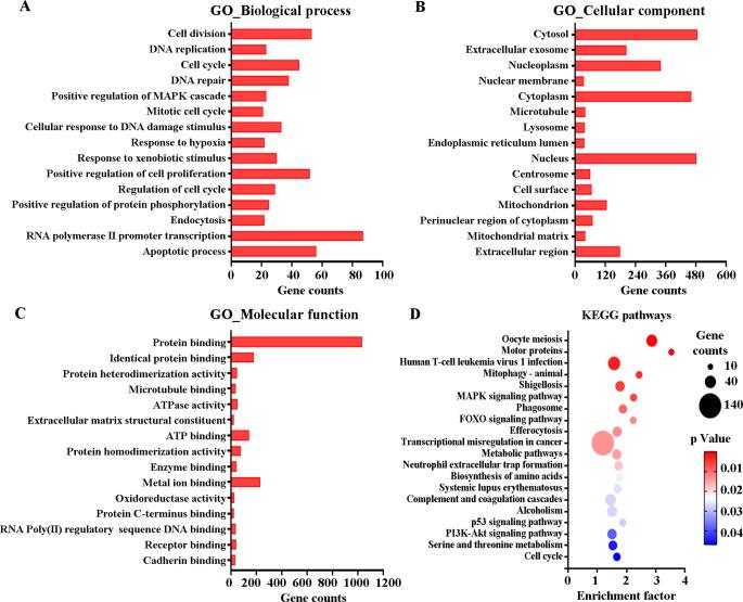 https://cdn.ncbi.nlm.nih.gov/pmc/blobs/4264/11384635/342c8d714399/10142_2024_1436_Fig5_HTML.jpg