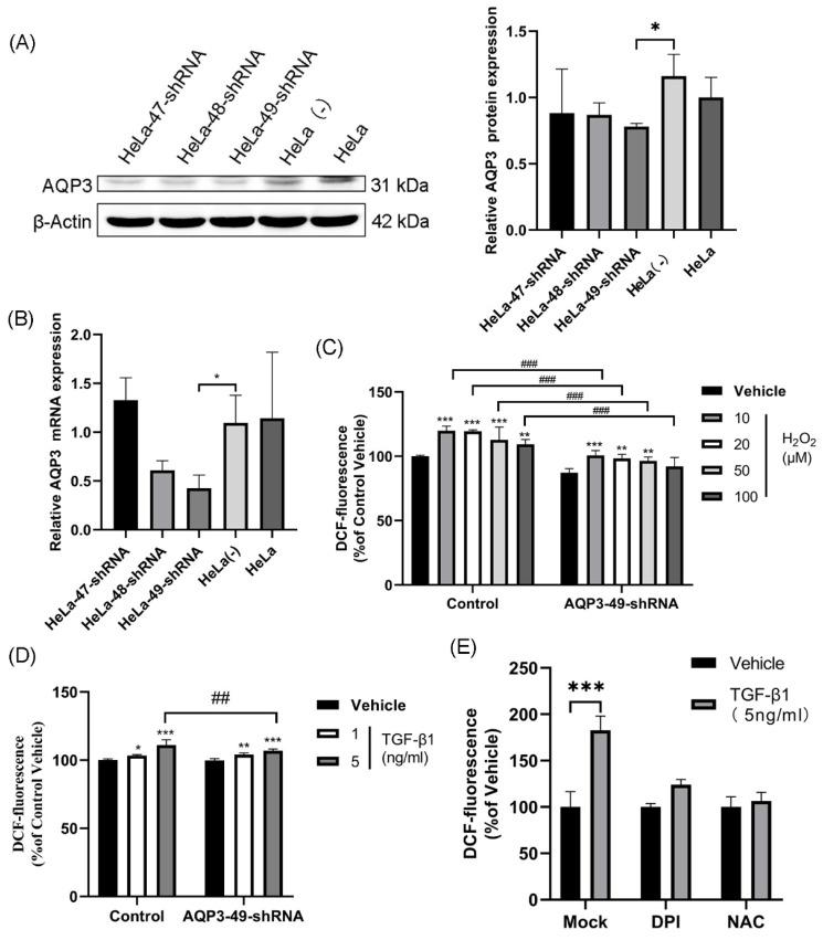 https://cdn.ncbi.nlm.nih.gov/pmc/blobs/4266/10788729/4ac82db6c771/jcav15p1124g001.jpg