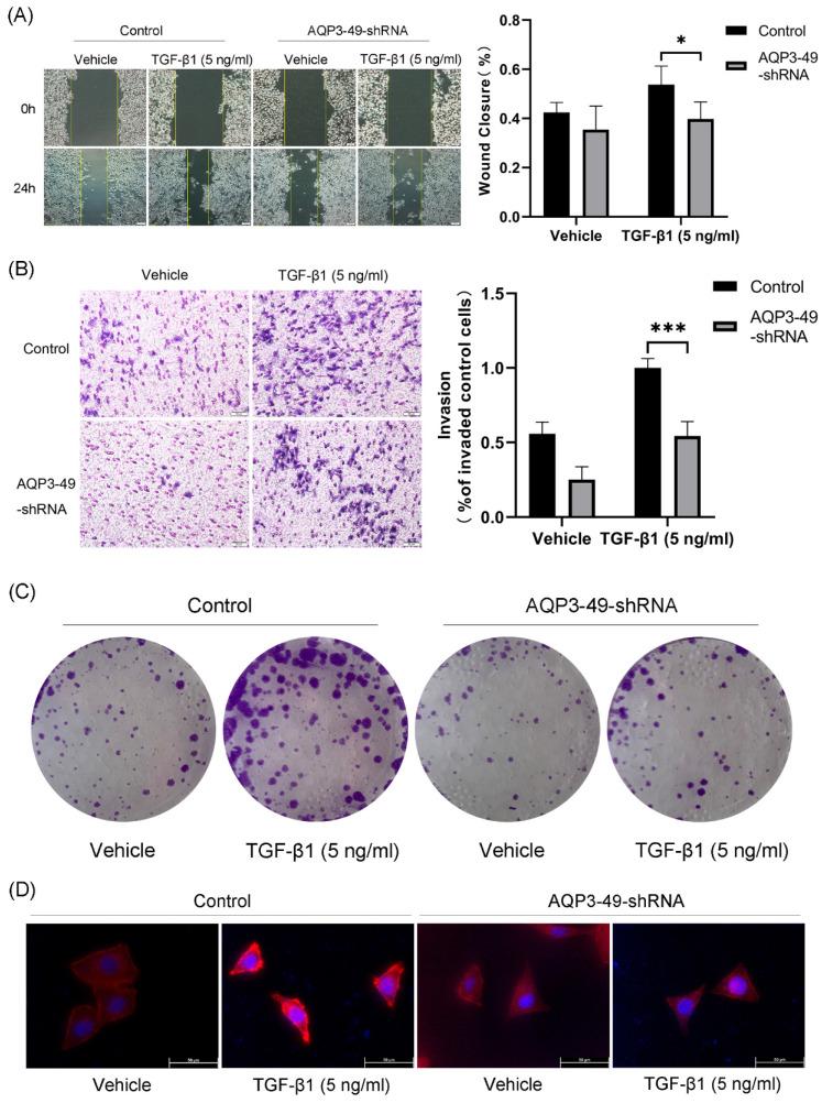 https://cdn.ncbi.nlm.nih.gov/pmc/blobs/4266/10788729/893967e4fd10/jcav15p1124g002.jpg