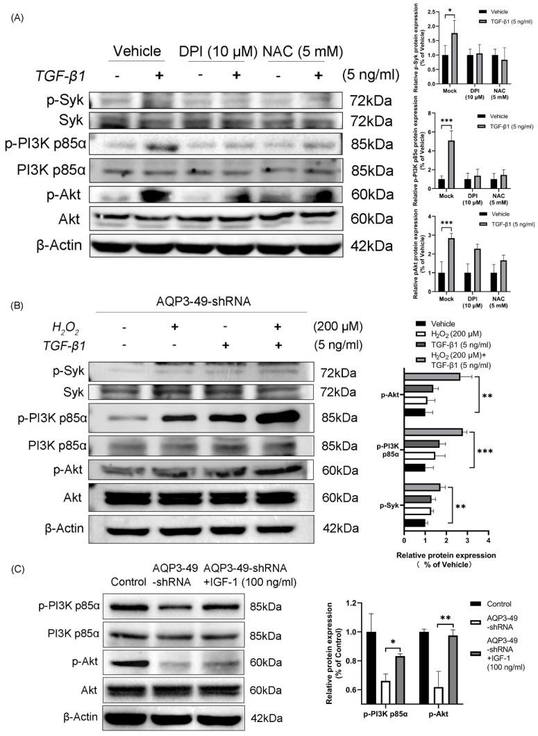 https://cdn.ncbi.nlm.nih.gov/pmc/blobs/4266/10788729/f3755d8007f3/jcav15p1124g004.jpg