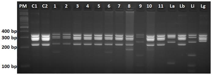 https://cdn.ncbi.nlm.nih.gov/pmc/blobs/4266/5703529/42623e7745af/pone.0187704.g002.jpg