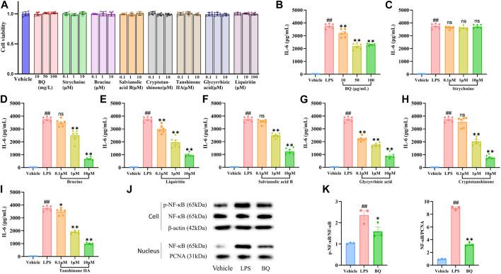 https://cdn.ncbi.nlm.nih.gov/pmc/blobs/4268/11061359/4637bbaae59d/fphar-15-1347970-g005.jpg