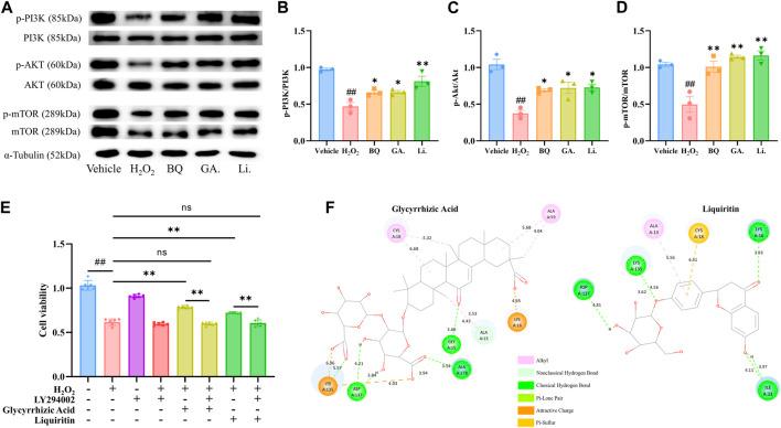 https://cdn.ncbi.nlm.nih.gov/pmc/blobs/4268/11061359/624402318c18/fphar-15-1347970-g004.jpg