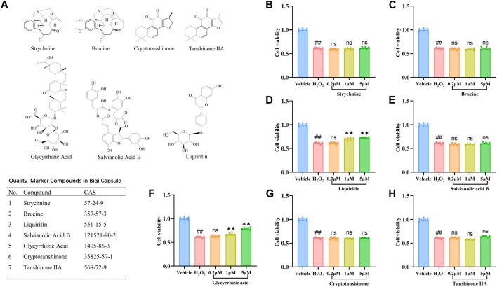 https://cdn.ncbi.nlm.nih.gov/pmc/blobs/4268/11061359/6b9d82c98878/fphar-15-1347970-g003.jpg