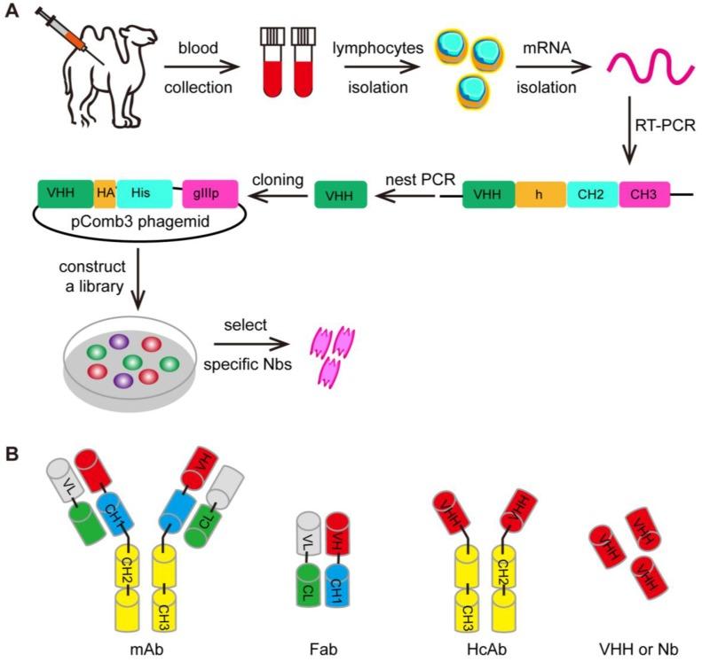 https://cdn.ncbi.nlm.nih.gov/pmc/blobs/4269/6831482/06b6e0e0b331/thnov09p7792g005.jpg