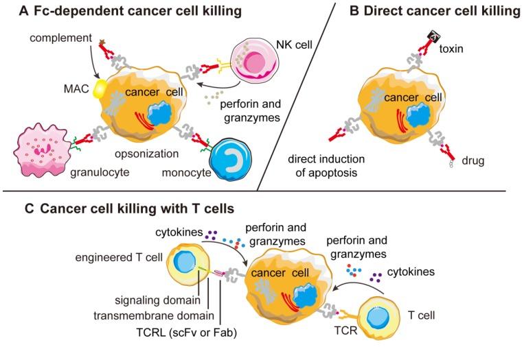 https://cdn.ncbi.nlm.nih.gov/pmc/blobs/4269/6831482/84fab414f69a/thnov09p7792g003.jpg