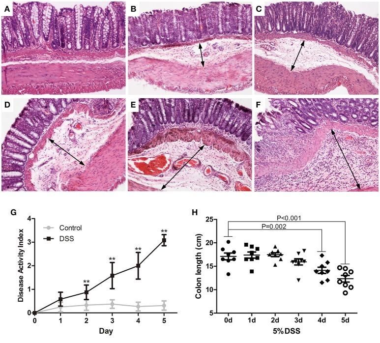 https://cdn.ncbi.nlm.nih.gov/pmc/blobs/426c/6220057/551c57902cfc/fphar-09-01235-g0002.jpg