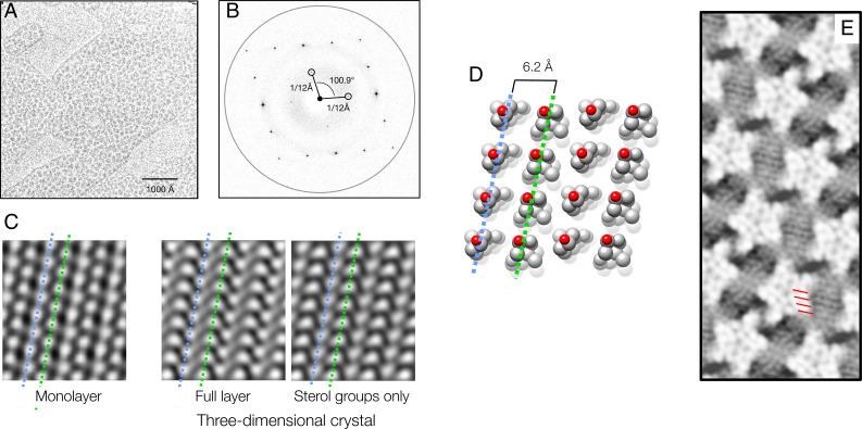 https://cdn.ncbi.nlm.nih.gov/pmc/blobs/426c/9407305/be379f1b6856/pnas.2207641119fig03.jpg