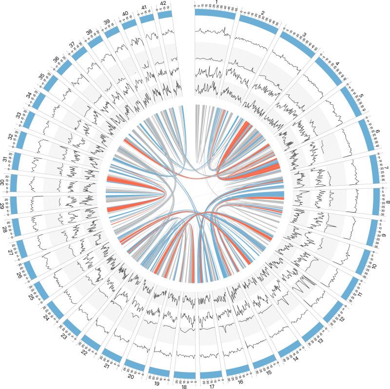 https://cdn.ncbi.nlm.nih.gov/pmc/blobs/426e/7846840/019a612ac1f9/42003_2021_1659_Fig1_HTML.jpg