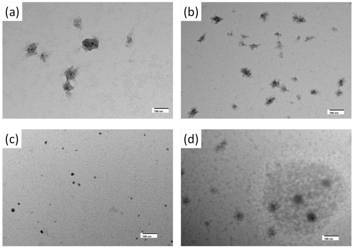 https://cdn.ncbi.nlm.nih.gov/pmc/blobs/426f/12025221/f6e017efc1f0/biosensors-15-00237-g006.jpg