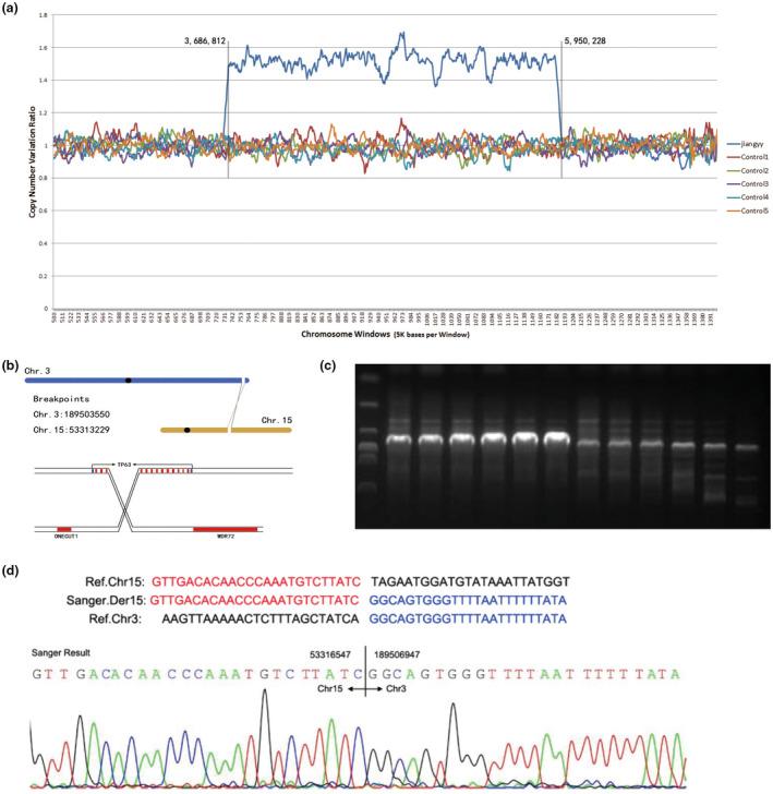 https://cdn.ncbi.nlm.nih.gov/pmc/blobs/426f/8104154/aa8038e42297/MGG3-9-e1604-g003.jpg