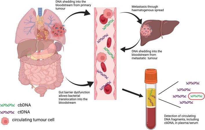 https://cdn.ncbi.nlm.nih.gov/pmc/blobs/4271/9013860/762cf130dfa1/fmed-09-831096-g0001.jpg