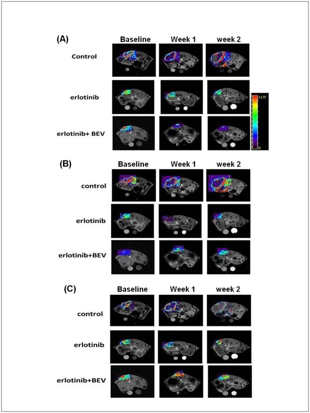 https://cdn.ncbi.nlm.nih.gov/pmc/blobs/4276/5679602/43643bb7e969/pone.0187824.g002.jpg