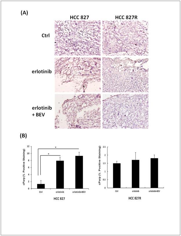 https://cdn.ncbi.nlm.nih.gov/pmc/blobs/4276/5679602/81a1a890152e/pone.0187824.g006.jpg