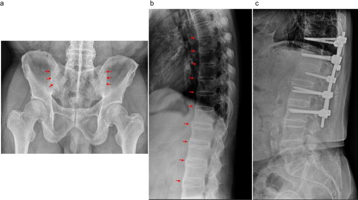 https://cdn.ncbi.nlm.nih.gov/pmc/blobs/4277/12213980/039c3352b153/10238_2025_1718_Fig2_HTML.jpg