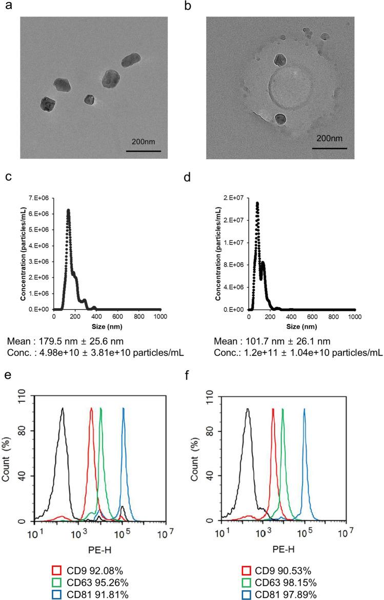 https://cdn.ncbi.nlm.nih.gov/pmc/blobs/4277/12213980/11e8dbb499e2/10238_2025_1718_Fig3_HTML.jpg