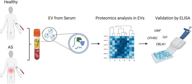 https://cdn.ncbi.nlm.nih.gov/pmc/blobs/4277/12213980/78b93fa1aabe/10238_2025_1718_Fig1_HTML.jpg