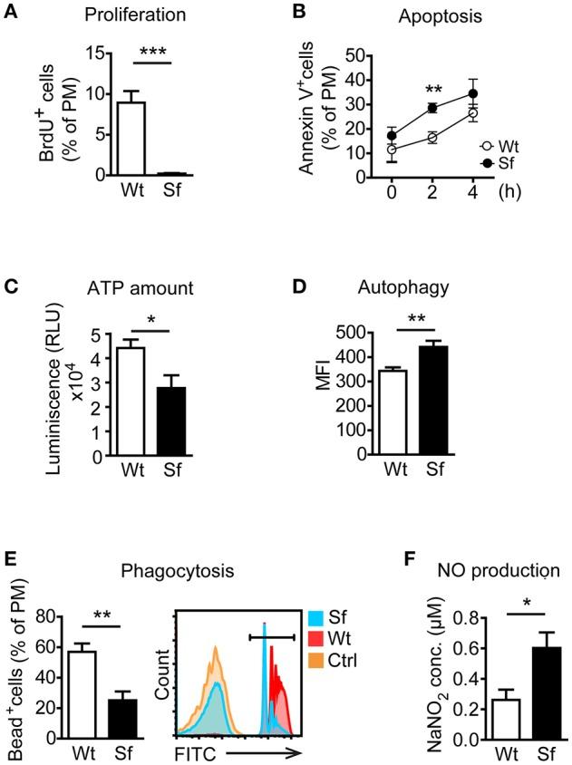 https://cdn.ncbi.nlm.nih.gov/pmc/blobs/427a/6220442/63b834303a3a/fimmu-09-02458-g0002.jpg