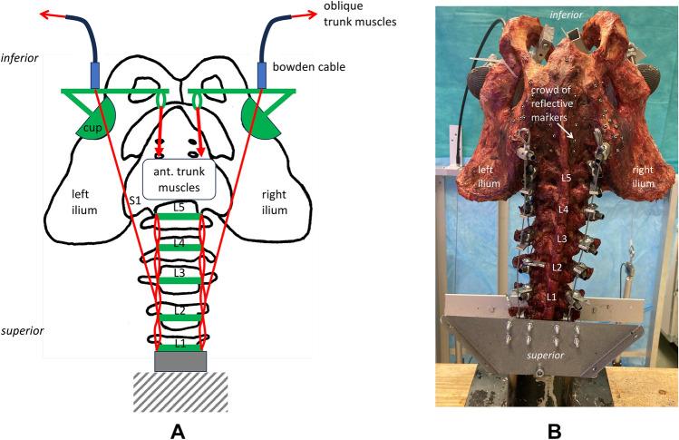 https://cdn.ncbi.nlm.nih.gov/pmc/blobs/427e/11920589/d42de91b1d68/41598_2025_93599_Fig4_HTML.jpg