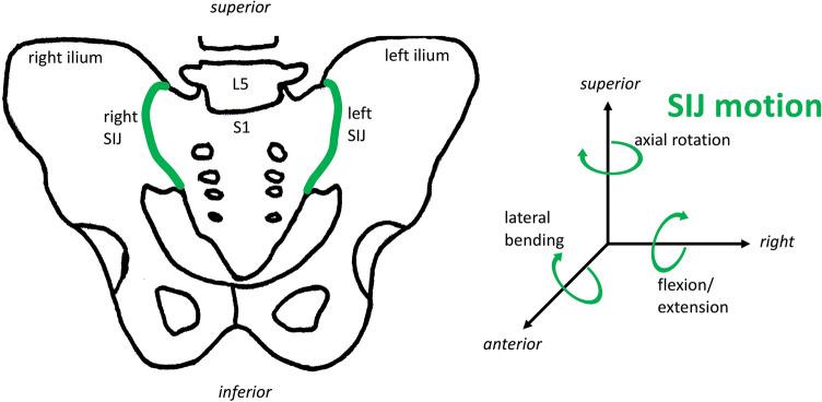 https://cdn.ncbi.nlm.nih.gov/pmc/blobs/427e/11920589/f9f08392409e/41598_2025_93599_Fig6_HTML.jpg