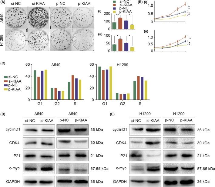 https://cdn.ncbi.nlm.nih.gov/pmc/blobs/4280/5891195/a8233ab3c783/CAS-109-1055-g003.jpg