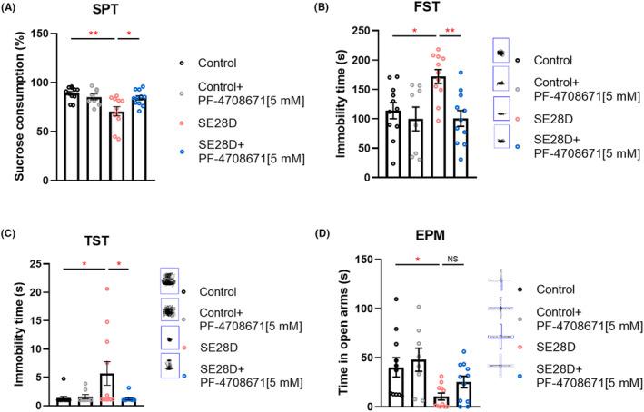 https://cdn.ncbi.nlm.nih.gov/pmc/blobs/4281/10945394/1ff915eb33d5/CNS-30-e14475-g005.jpg