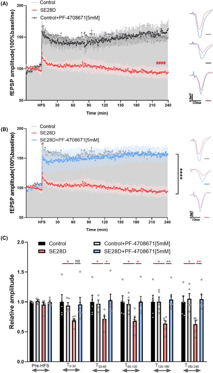 https://cdn.ncbi.nlm.nih.gov/pmc/blobs/4281/10945394/9d7436521dfe/CNS-30-e14475-g007.jpg