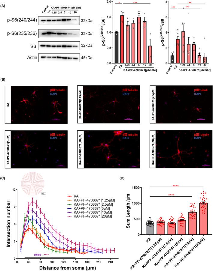 https://cdn.ncbi.nlm.nih.gov/pmc/blobs/4281/10945394/aeced7df3b45/CNS-30-e14475-g003.jpg