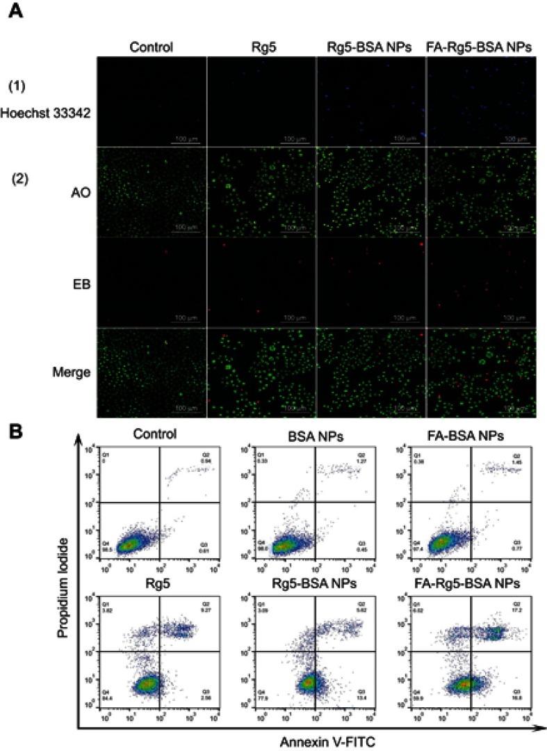 https://cdn.ncbi.nlm.nih.gov/pmc/blobs/4281/6718740/763a85c9a5ff/IJN-14-6971-g0007.jpg