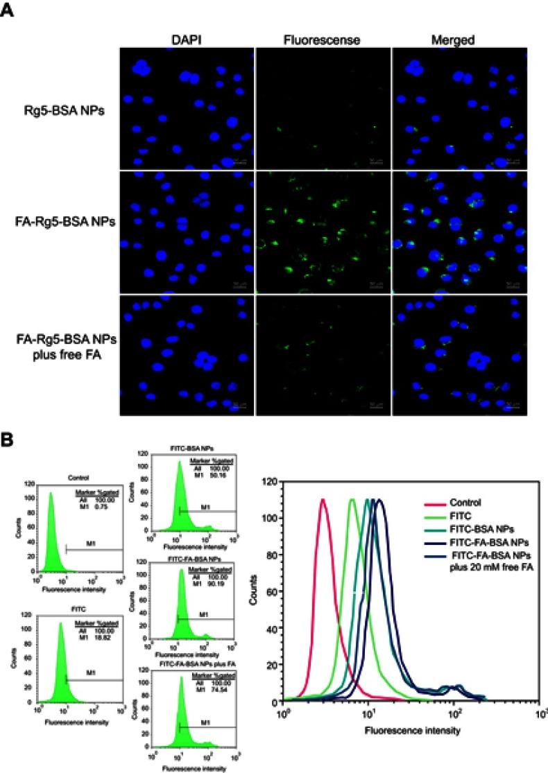 https://cdn.ncbi.nlm.nih.gov/pmc/blobs/4281/6718740/d41fbc975197/IJN-14-6971-g0008.jpg